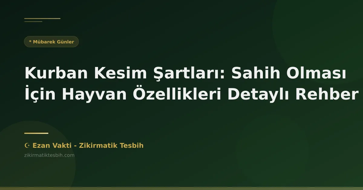 Kurban Kesim Şartları: Sahih Olması İçin Hayvan Özellikleri Detaylı Rehber
