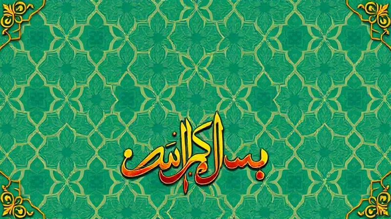 Muhammed Suresi meali ve tefsiri çalışması yapan kişi